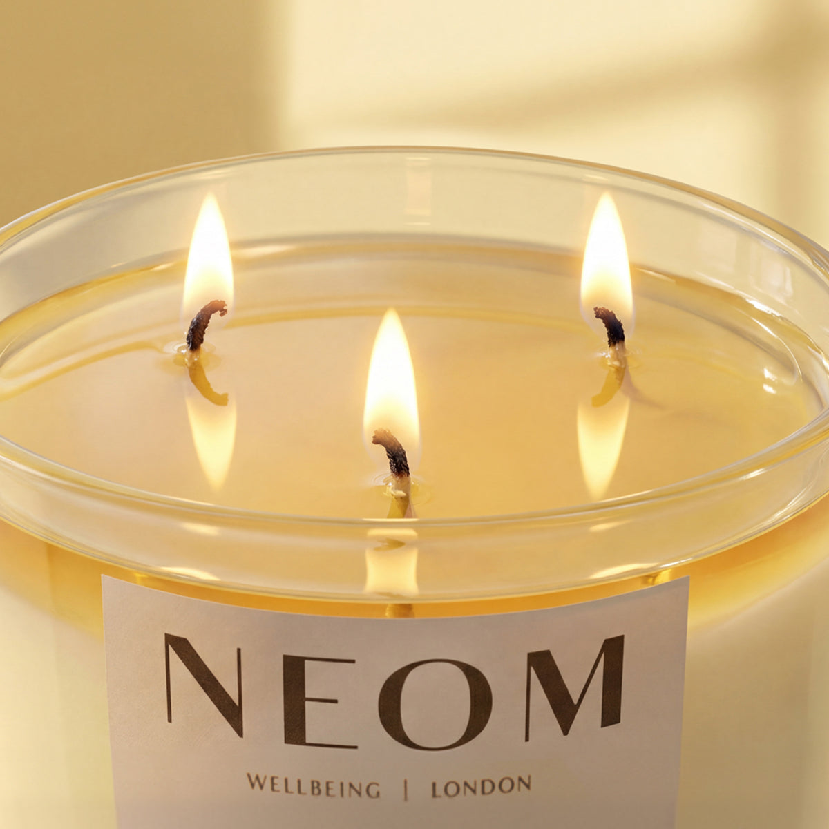 Happiness Scented 3 Wick Candle, Set of 10