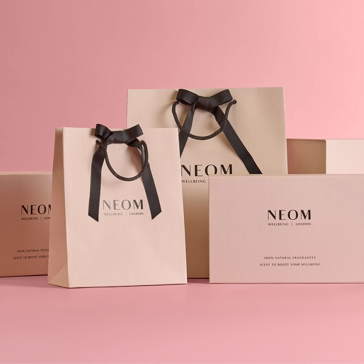 Gift Bag