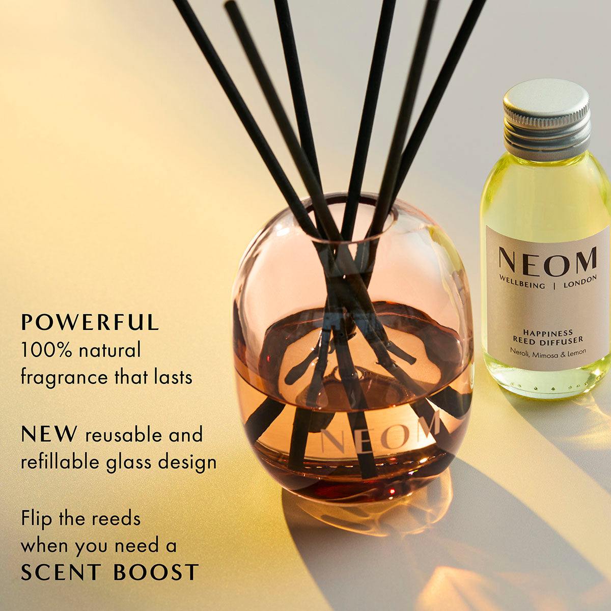 Happiness Reed Diffuser, Set of 10