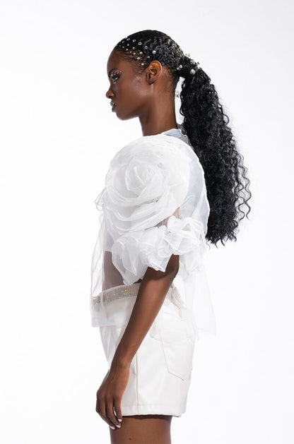 DAYDREAMIN SHEER RUFFLE SLEEVE TIERED DRESS