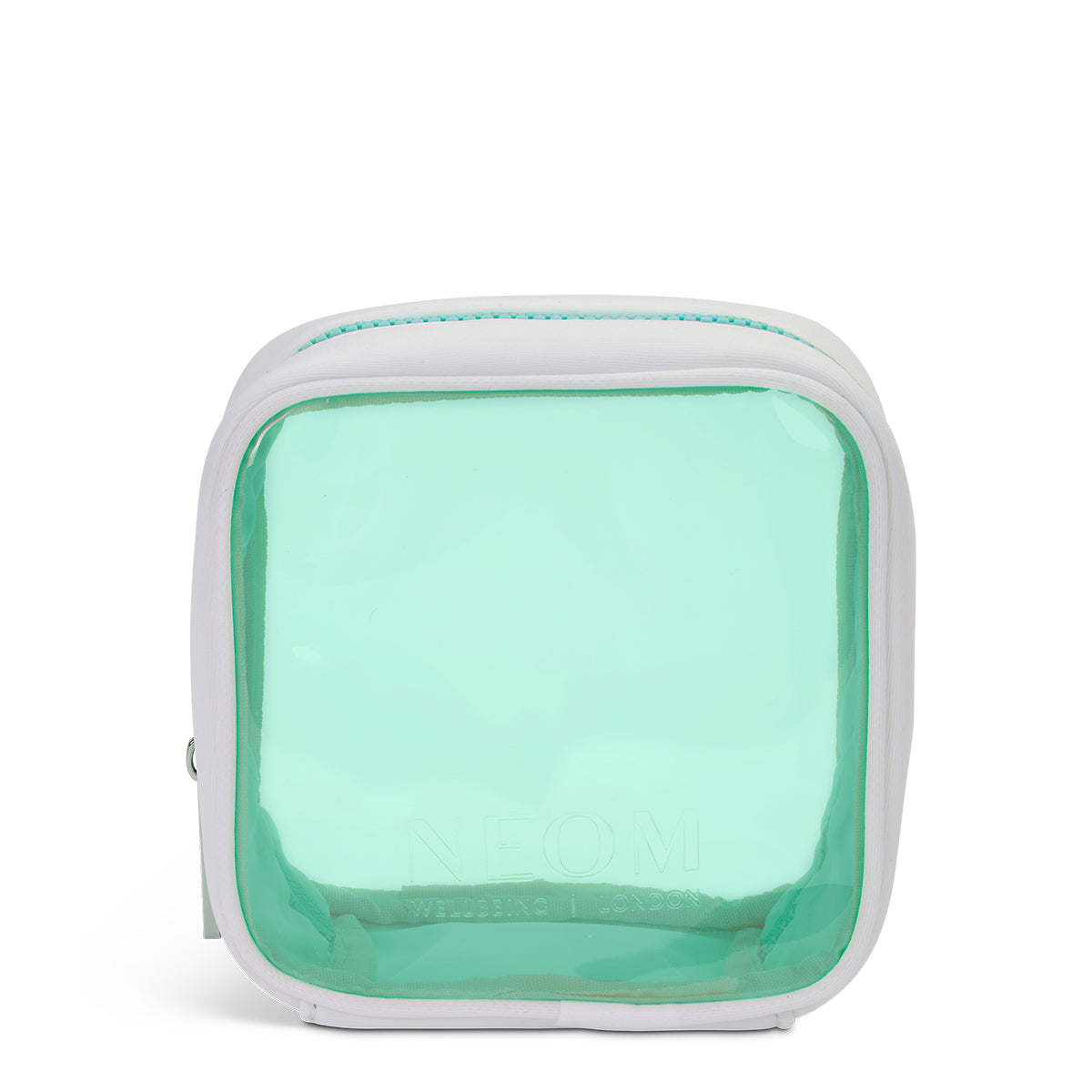 Mint Travel Bag