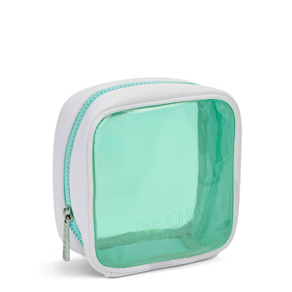 Mint Travel Bag
